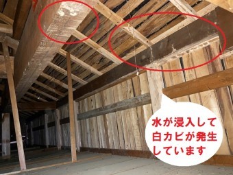 雨漏りは劣化した防水シートと瓦桟の雨塞き止めで屋根裏から調査で解った雨漏り箇所と白カビ