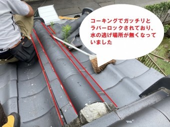 化粧棟にガッチリとラバーロックが施されています