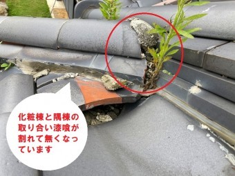 化粧棟と隅棟の間から草が生えていて、漆喰が崩れています