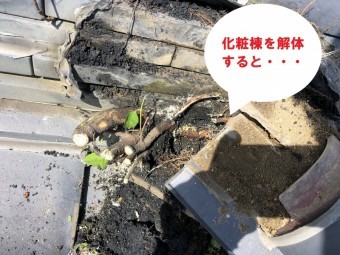 笠間市で化粧棟から木?隅棟から草?化粧棟を解体していくと木が