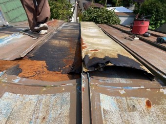 瓦棒屋根を捲ると野地ベニヤと防水シートの劣化が分かります