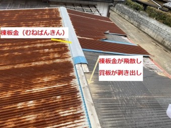 棟板金が飛散し貫板が露出