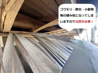 軒天の穴あきは小動物の棲み処となり得る為危険です