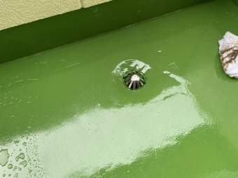 防水工事を行いストレーナーカバーも装着完了