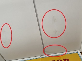 古河市の目透かし天井に雨染み数カ所