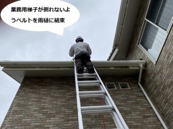 梯子が倒れないように軒樋にベルトを結ぶ職人