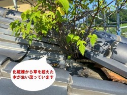 笠間市で化粧棟から木?隅棟から草?棟や桟瓦にラバーロックしてあります