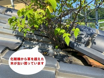 笠間市で化粧棟から木?隅棟から草?棟や桟瓦にラバーロックしてあります