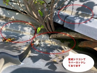 笠間市で化粧棟から木?隅棟から草?で草木が棟から生茂っています
