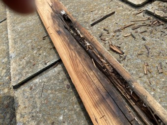 水分を吸収している貫板は腐食が進行している