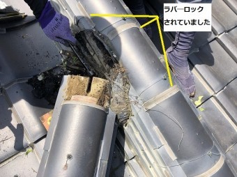 ラバーロックされた冠瓦と降り棟の緩衝部
