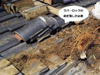 ラバ―ロックの削ぎ落しが必要な冠瓦
