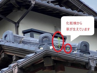 現場調査時に化粧棟から草が生えているのが分かります