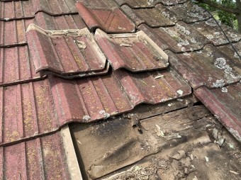 セメント桟瓦を4枚捲った時の屋根下地は防水シートが破損し野地板が露出