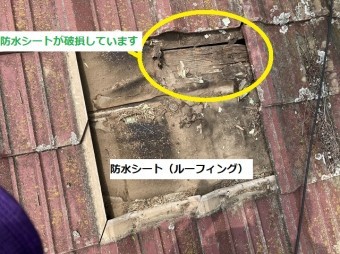 赤いセメント瓦を捲ると防水シートが破損していた