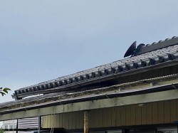 S__54395076-1-before