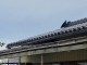 S__54395076-1