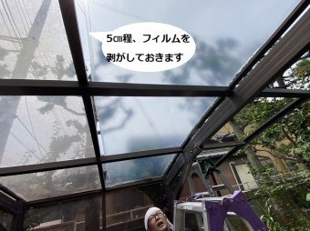 ポリカーボネート平板の保護フィルムを五センチ程度剥がす