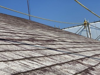 軒先側から斜めに見上げる大きな屋根