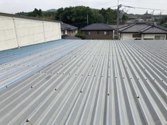 太陽光を設置する折板屋根は増築され4棟が連なっている