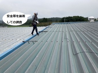 折板屋根の上を安全帯をして調査する屋根職人