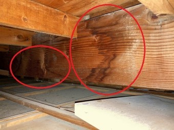 日立市の縦葺き屋根雨漏り調査時に発見された梁に付いた雨染み