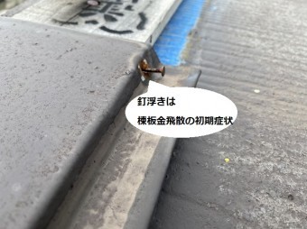 釘浮きは棟板金飛散の初期症状