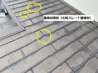S__55066770-columns2