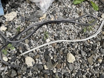 撤去した外壁のシール材を地面に並べる