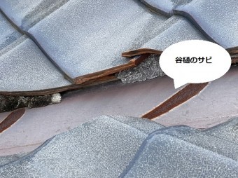谷樋には褐色のサビが発生している