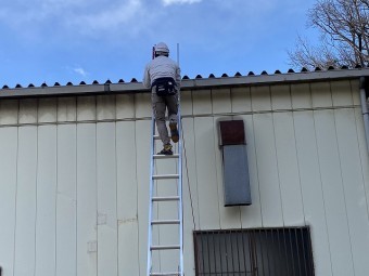 梯子で折板屋根に登るヘルメットを被ったスタッフ
