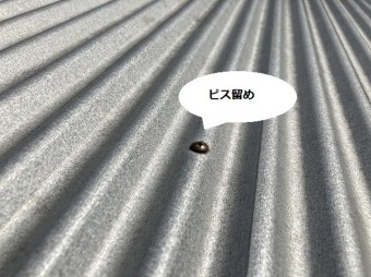 波上トタンの留め具にビス留めされている