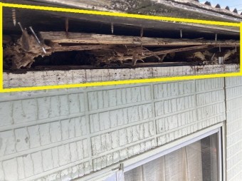 軒先側から覗く屋根下地の破損状況