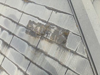 水戸市のスレート屋根は全体にに水が浸透している