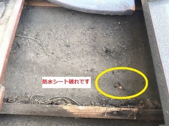 瓦を外すと防水シートが破損しています