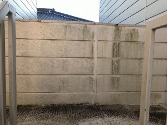 Aコーポ階段コケ画像