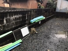 T様足場クッション材