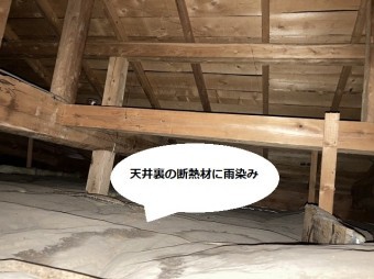 天井裏の断熱材に広範囲の雨漏り跡を発見
