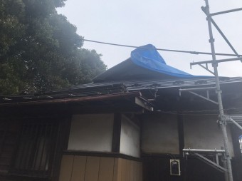 西側板金屋根引いた画像