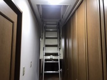 鹿嶋市で屋根裏雨漏り調査をロフト部分から