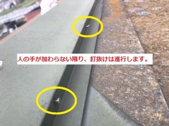 棟板金から釘が複数浮いている