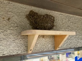 持送りがついているツバメの巣台