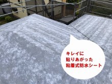 ひたちなか市のパミールへのカバー工法に使用するタディスセルフカバーの貼り上がり画像