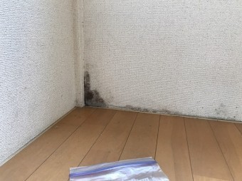 サッシ下の壁紙が雨漏りによりカビている