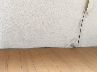 雨漏りにより壁紙が捲れカビも発生