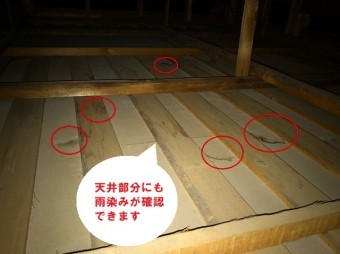 日立市の瓦棒葺き屋根雨漏りは経年劣化が原因で天井雨染み被害の現場調査の小屋裏雨漏り調査で天井下地に雨染み確認