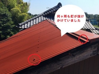 水戸市でのトタン屋根葺き替え依頼のお家は母屋に併設するトタン屋根の建物の釘抜けがありました