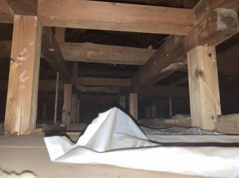 天井裏にライトを照射して雨漏り浸水口を捜索