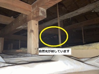 屋根裏から雨漏りしている上部に自然光が射しているのが確認できる