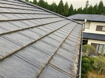 モニエル屋根上から調査を行ないます